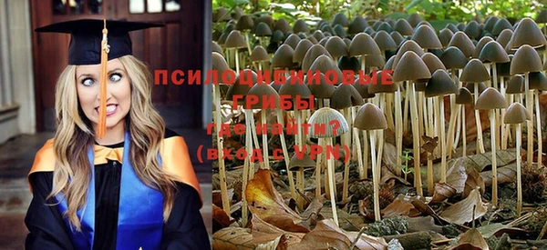 прущая мука Арсеньев