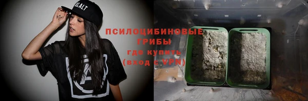 прущая мука Арсеньев