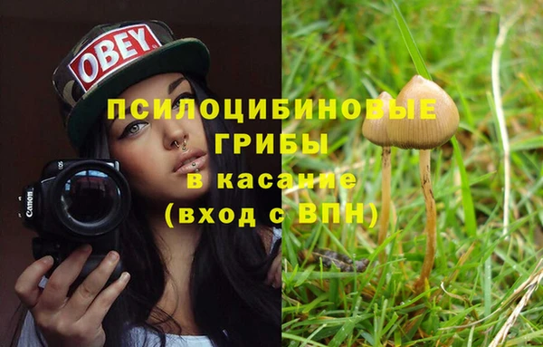 стафф Армянск