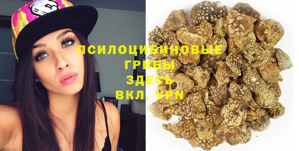 прущая мука Арсеньев