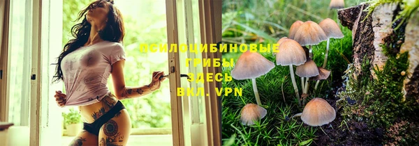 прущая мука Арсеньев