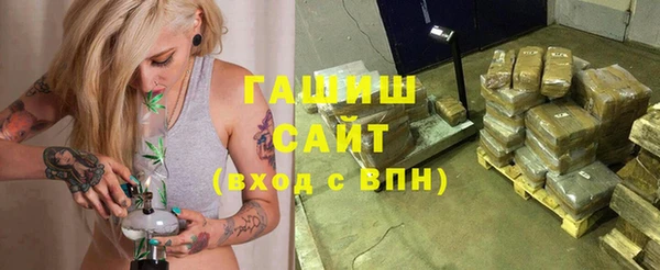 стаф Алзамай