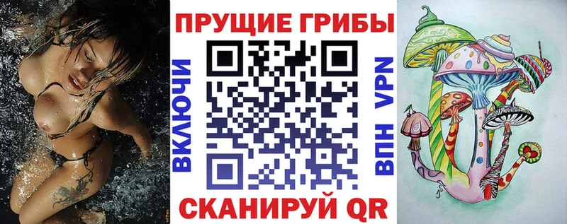 Галлюциногенные грибы MAGIC MUSHROOMS  даркнет сайт  МЕГА онион  Фатеж 